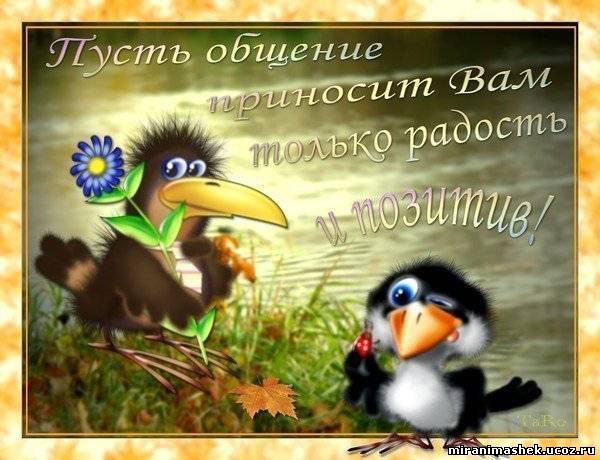   - 23  2015  13:39