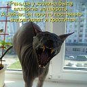 ���� ������, ������, 46 ��� - ��������� 27 ������� 2015 � ������ ���� ����������