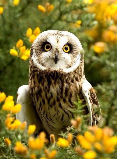   - 10  2015  13:07 - 5