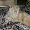 ���� ���������, ��������, 70 ��� - ��������� 5 ����� 2016 � ������ ���� ����������