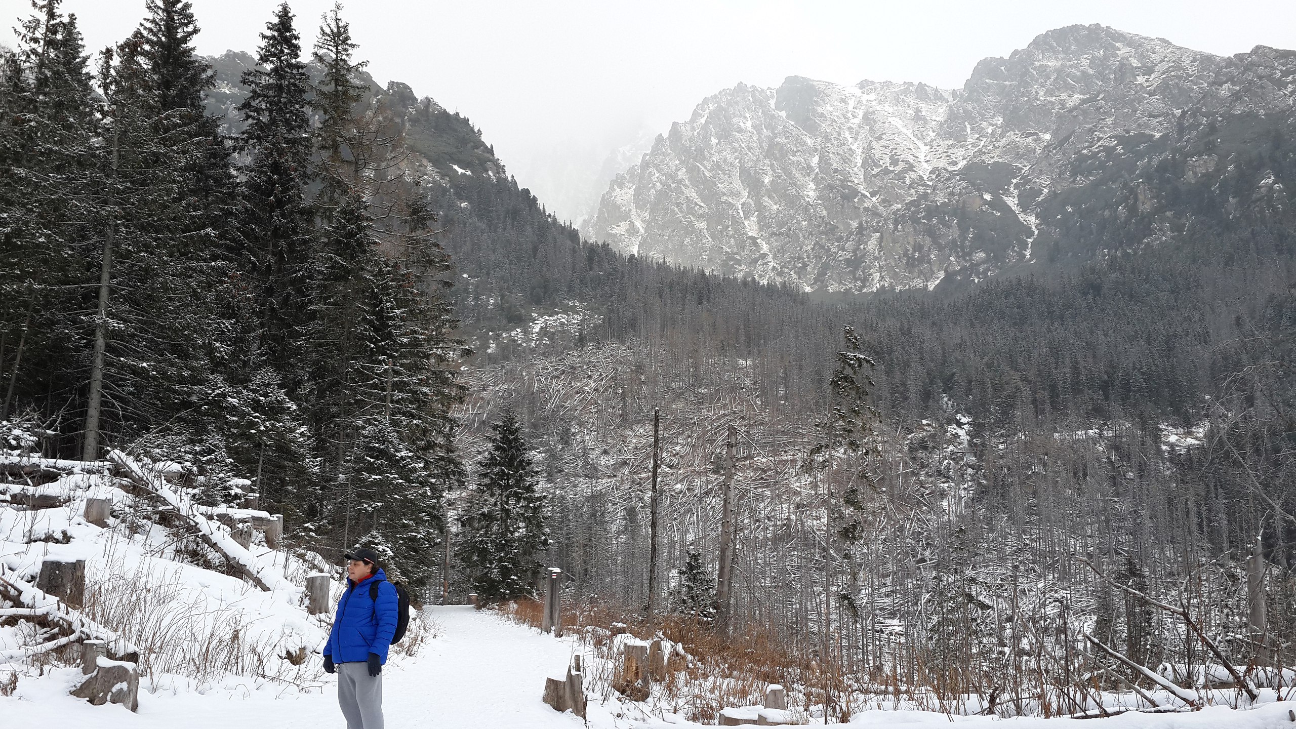 ������� ����� 2016