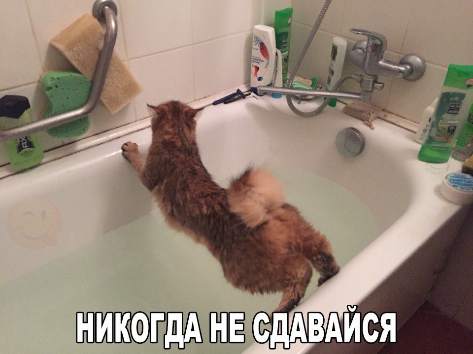  - 28  2016  17:07