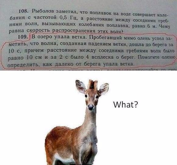   - 23  2016  18:10
