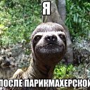 ���� �������, ������� - ��������� 22 ������ 2015 � ������ ������ ��������