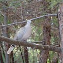 ���� �����, ������ - ��������� 2 ������� 2015 � ������ ������ ��������