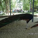 ���� Viktor, ������ - ��������� 20 ������� 2016 � ������ ������ ��������