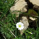 � ����������� ������. �� ������� ���� ����������