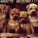���� �leksandr, ����, 38 ��� - ��������� 14 ������ 2016 � ������ ���� ����������