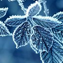  ••,  -  15  2015   