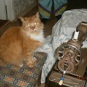 ���� �������, ����, 69 ��� - ��������� 6 ������ 2016 � ������ ������ ��������