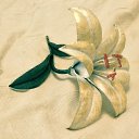 ���� �����, ������, 40 ��� - ��������� 26 ������� 2015 � ������ ������ ��������