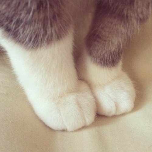   ,     .#@https://fotostrana.ru/away?to=/sl/XE2 - 6