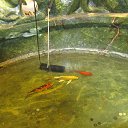 �����. �� ������� ������ 2015.�