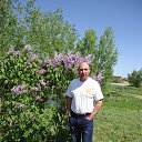 ���� ������, ������, 48 ��� - ��������� 25 ������� 2015 � ������ ���� ����������