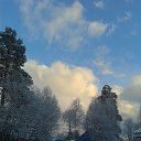 ���� �����, �������� - ��������� 25 ������ 2015 � ������ ����� ����� ������.�