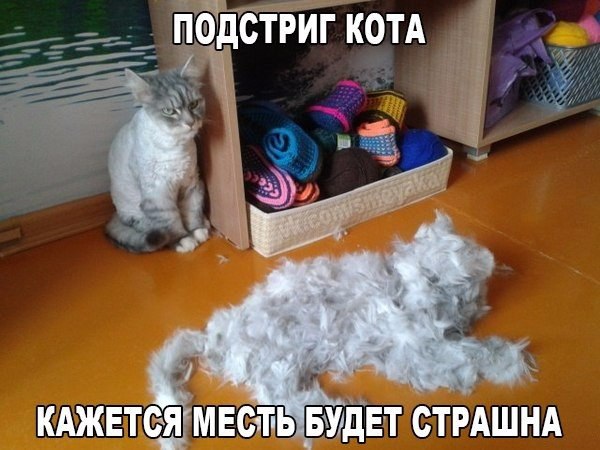       - 29  2015  18:45