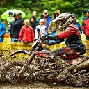 ���� ������, ������, 30 ��� - ��������� 24 ������� 2015 � ������ ���� ����������