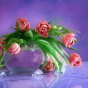 ���� Ani, ������ - ��������� 27 ������� 2015 � ������ ������...�