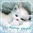  Yelena,  , 57  -  18  2015    