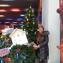 ���� ��������, �����-���������, 55 ��� - ��������� 7 ������� 2015 � ������ ���� ����������