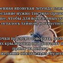 ���� �����, ���� - ��������� 15 ������� 2015 � ������ ���� ����������