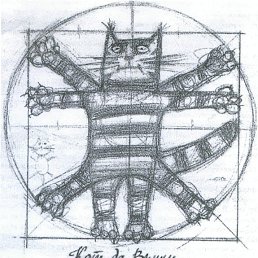 �����, ������, 54 ����