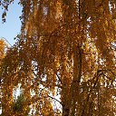 ���� Alexander, ������, 79 ��� - ��������� 20 ������� 2015 � ������ ���� ����������