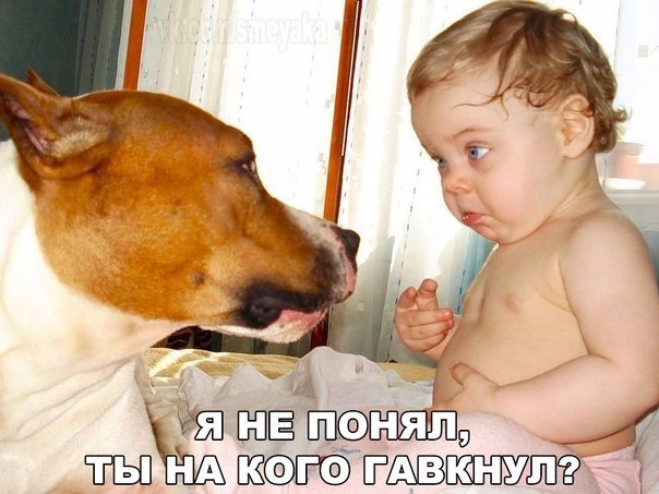   - 11  2015  15:07
