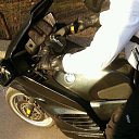 ���� �������, ������, 41 ��� - ��������� 18 ������ 2015 � ������ ���� ����������