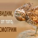 ���� �����, �������, 47 ��� - ��������� 7 ������� 2015 � ������ ������ ��������