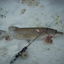 ���� ����, �������������, 58 ��� - ��������� 2 ������ 2016 � ������ ���� ����������