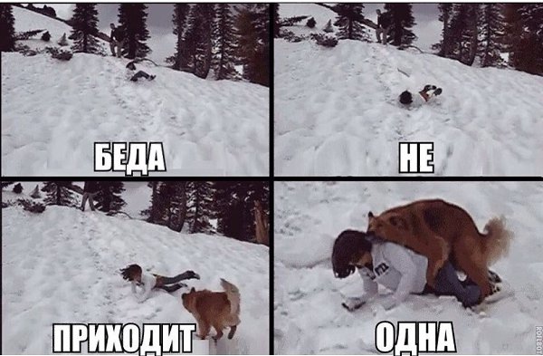   - 18  2015  14:31