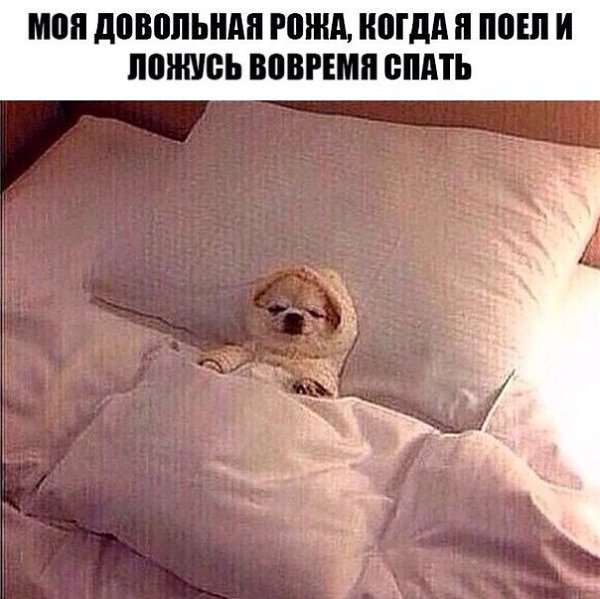  )