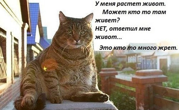  - 5  2015  18:16