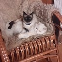  � ��� � ���� ���� ��������!!! �� ������� ������