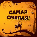 ���� �����, ������, 78 ��� - ��������� 5 ������ 2015 � ������ �������