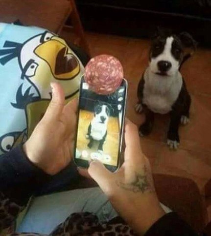  ,      .@