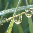 ���� ������, ��������, 55 ��� - ��������� 28 �������� 2015 � ������ ���� ����������