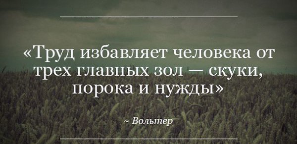 LIFE -  - 21  2016  18:32