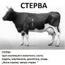 ���� ��������, ������ - ��������� 29 ������ 2016 � ������ ������ ��������