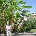  Edgard Nik., , 75  -  14  2015    2014.    