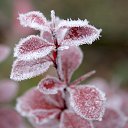  ••,  -  15  2015   