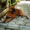 ���� Marishka, ���������, 39 ��� - ��������� 25 ������� 2016 � ������ ������ ��������
