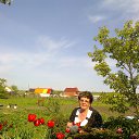  , , 67  -  5  2016    