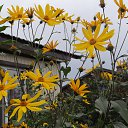 ���� Vladimir, �����������, 42 ���� - ��������� 28 ������ 2016 � ������ ���� ����������