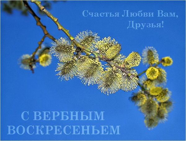   - 24  2016  09:54