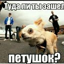 ���� �����, ������, 42 ���� - ��������� 2 ������ 2016