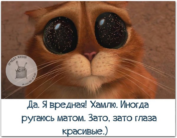   - 4  2016  14:22