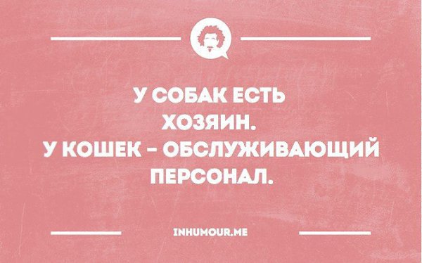  - 3  2016  16:28