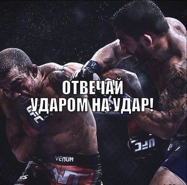 SportFeed - 29  2016  18:25